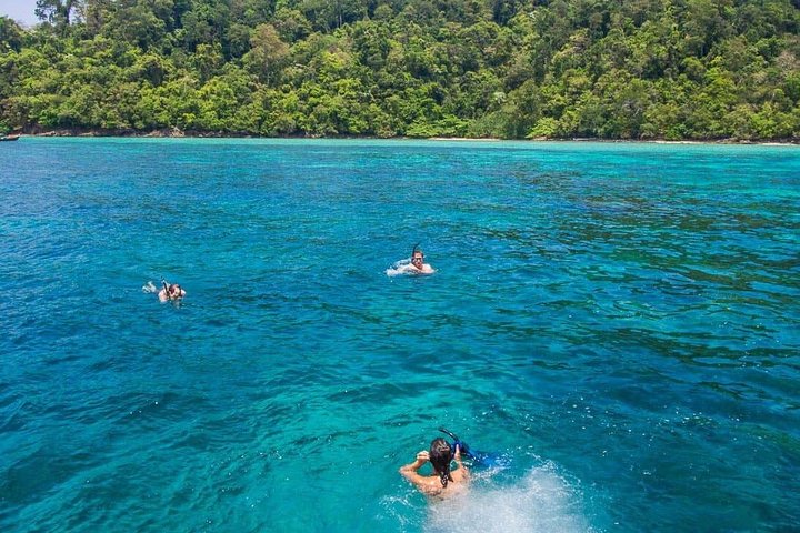 Koh Samui: Private Speedboat Koh Taen & Pig Island Snorkeling