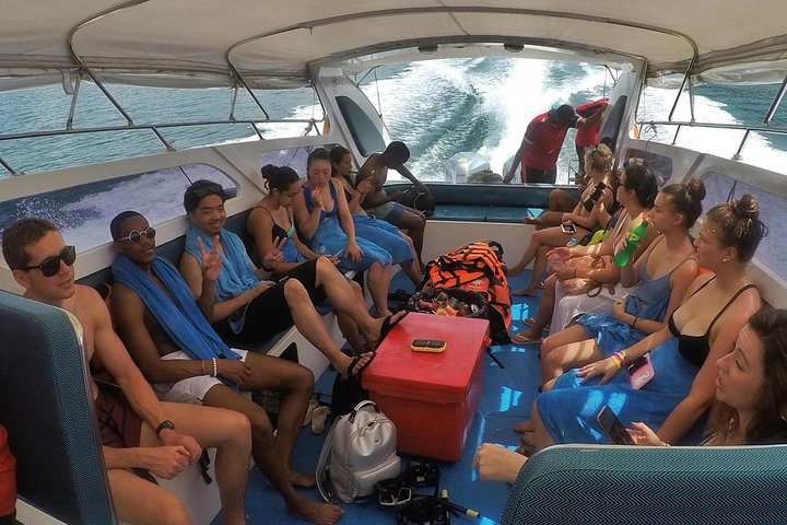 Koh Samui: Private Speedboat Koh Taen & Pig Island Snorkeling