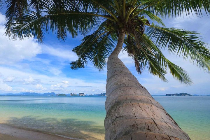 Koh Samui: Private Speedboat Koh Taen & Pig Island Snorkeling