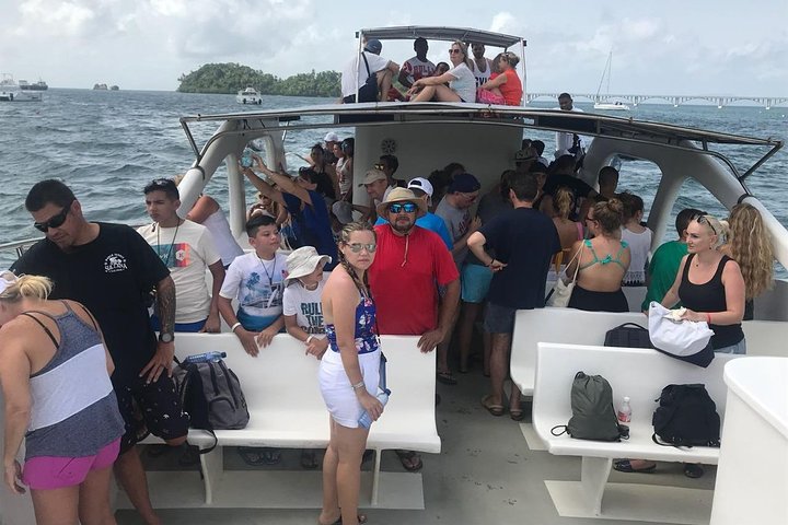 Adventure in the bay of samana and waterfall El limon from punta cana