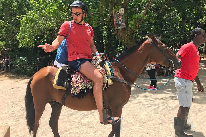 Adventure in the bay of samana and waterfall El limon from punta cana