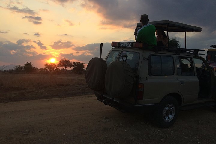 A day trip to mikumi from morogoro