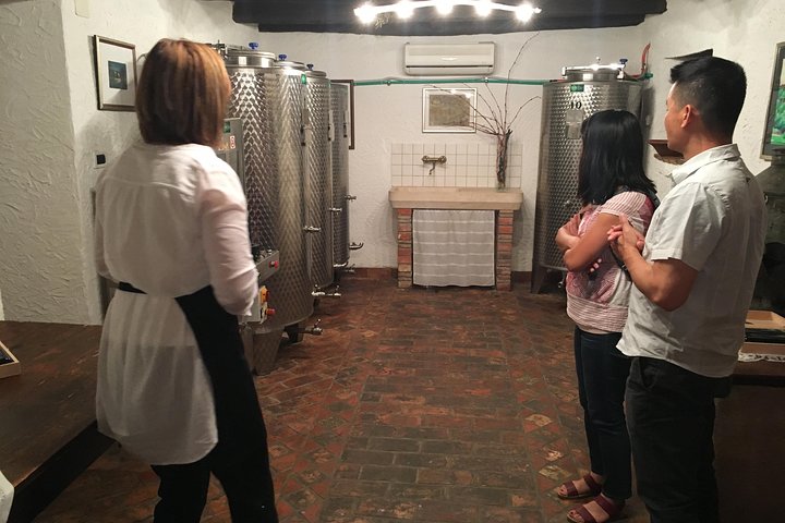Istrian tapestry - gourmet tour combining wine, truffles and olive oil