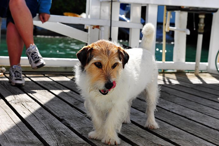 Queen Charlotte Sound Mail Boat Cruise