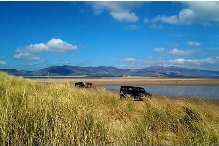 Killarney National Park Horseback Ride. Co Kerry. Guided. 1 hour.