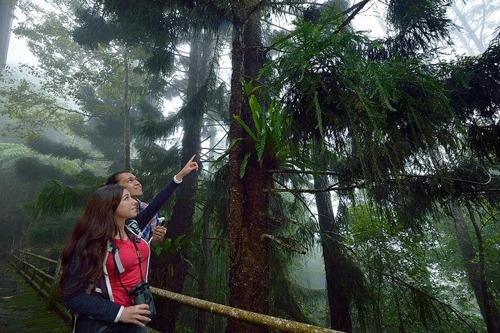 Full-Day Kinabalu Park and Poring Hot Spring Day Trip