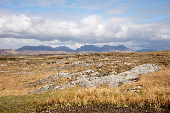 Wild Red Deer viewing safari with expert guide. Connemara, Galway