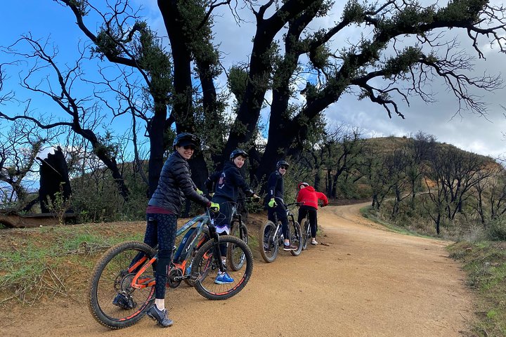 Scenic Malibu Overlook Electric Bike Tour for Beginners