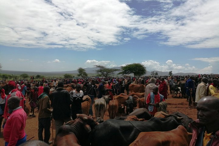 Nairobi Masai village Day Tour Experience