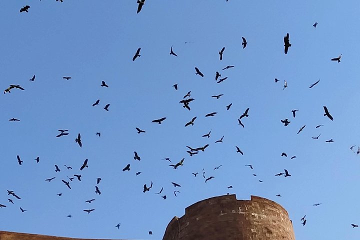 Mehrangarh Fort and Blue City Historic Tour with Local Guide