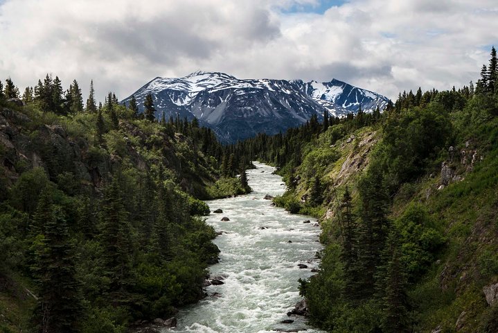 Yukon Suspension Bridge and Summit Tour