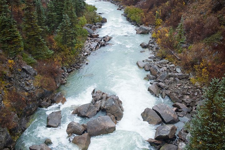 Yukon Suspension Bridge and Summit Tour