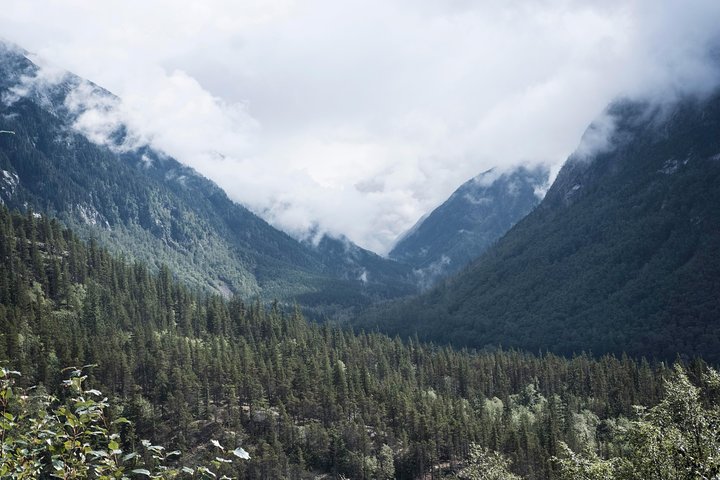 Yukon Suspension Bridge and Summit Tour