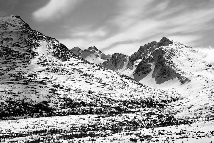 Yukon Suspension Bridge and Summit Tour