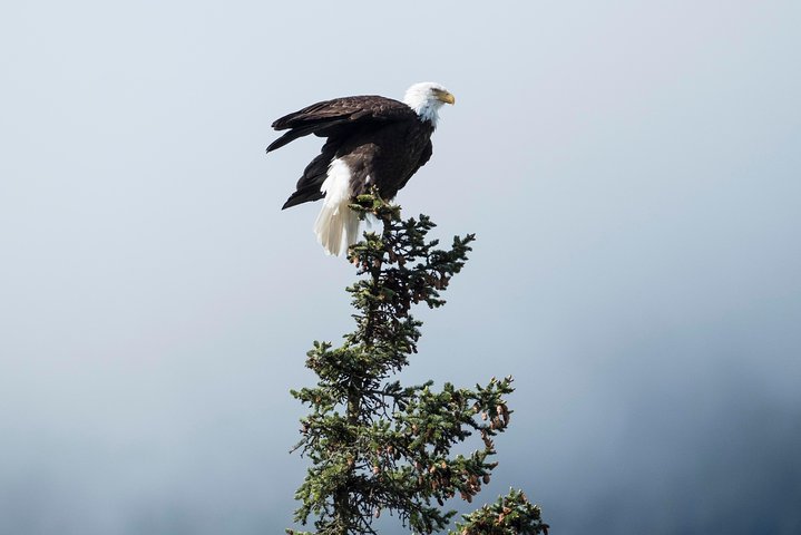 Exclusive Photography Tour Haines Departure