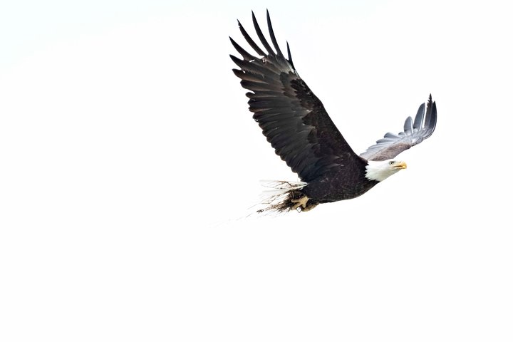 Exclusive Photography Tour Haines Departure