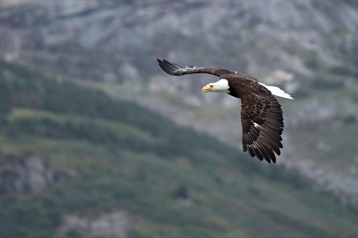 Exclusive Photography Tour Haines Departure