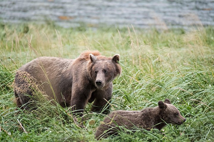 Exclusive Photography Tour Haines Departure
