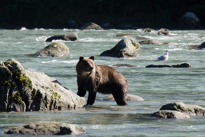 Exclusive Photography Tour Haines Departure