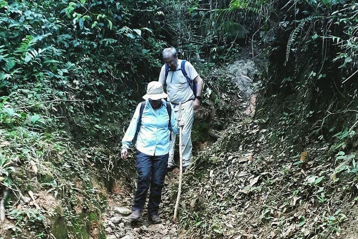 Private Tour - Mountain Hiking within an Inhabited Volcano