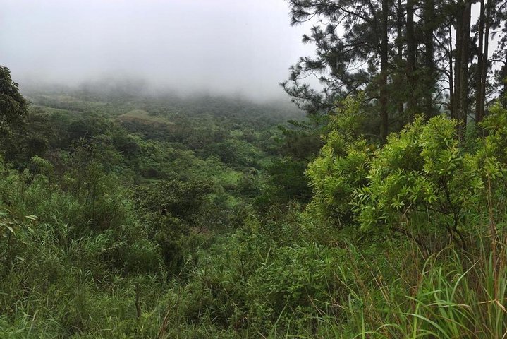 Private Tour - Mountain Hiking within an Inhabited Volcano