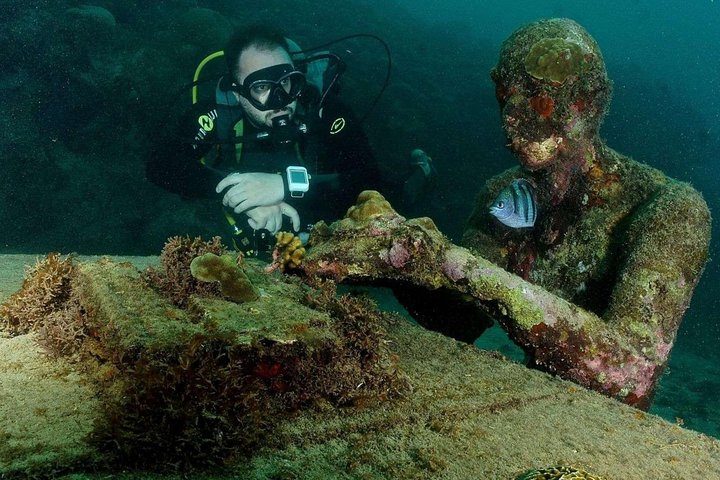 4-hour snorkel cruise to Underwater Sculptures with boat dogs