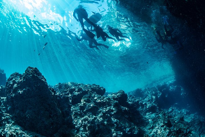 [Okinawa Blue Cave] Snorkeling with Private Guide+ Free Photos