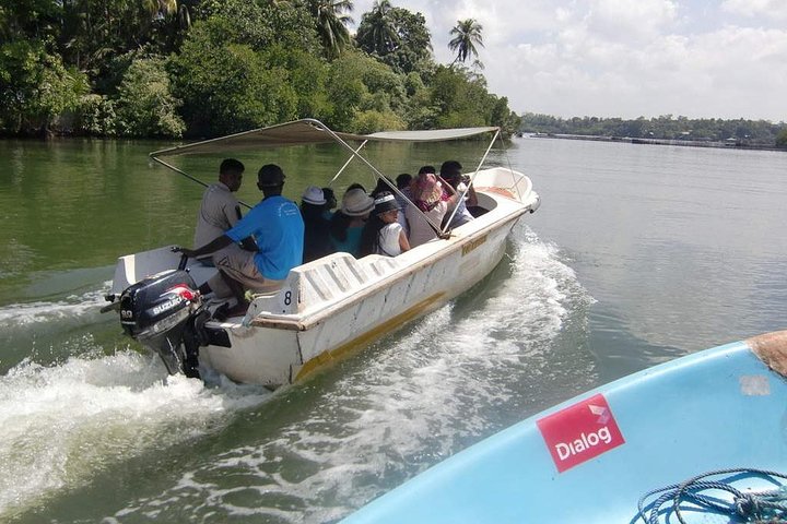 Madu River Boat Safari Balapitiya