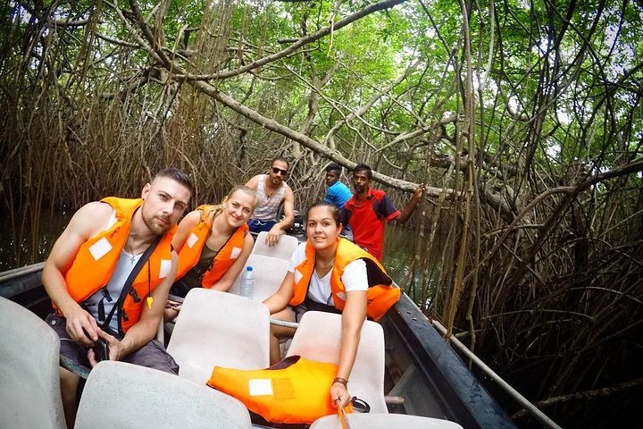 Madu River Boat Safari Balapitiya