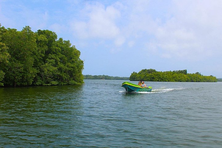 Madu River Boat Safari Balapitiya