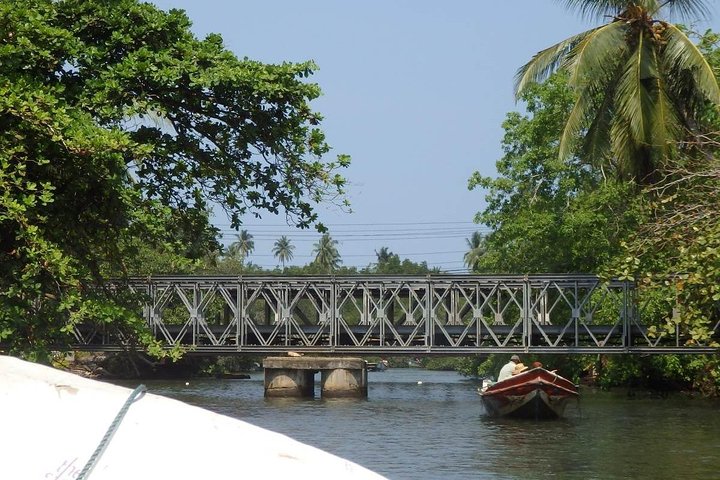 Madu River Boat Safari Balapitiya