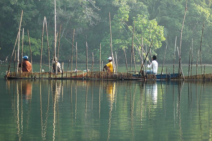 Madu River Boat Safari Balapitiya