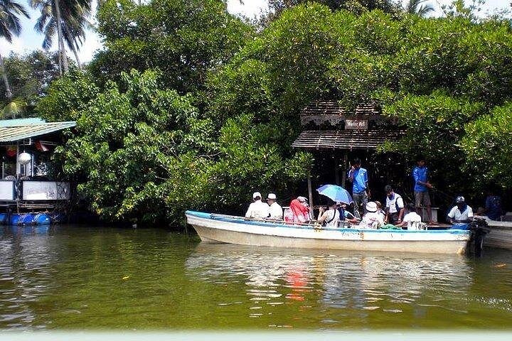 Madu River Boat Safari Balapitiya
