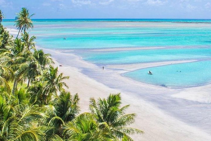 Recife x Maragogi Airport: Private Transfer by Romulo Turismo