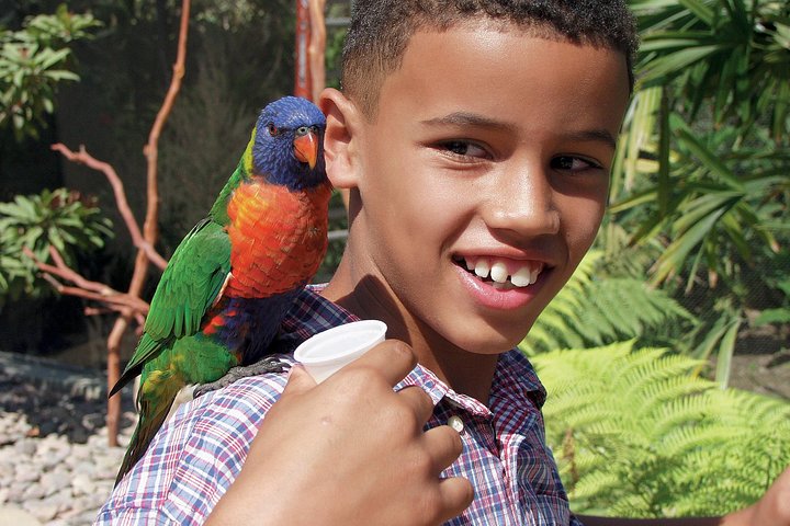 Skip the Ticketing Line: Aquarium of the Pacific General Admission Ticket