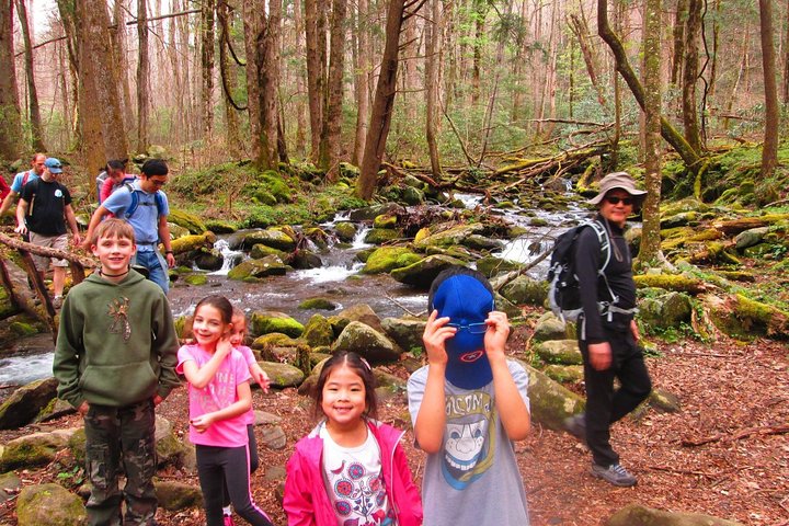 River Magic: An Easy Smoky Mountain Guided Walk