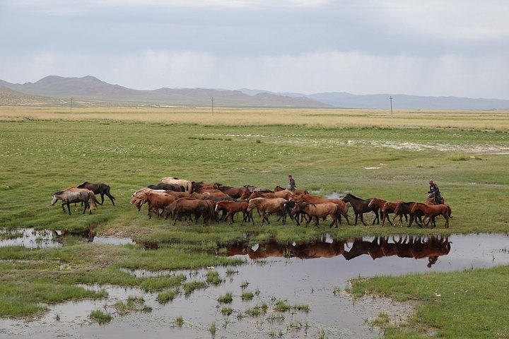 4 Days-The Best of Mongolia Collection tour