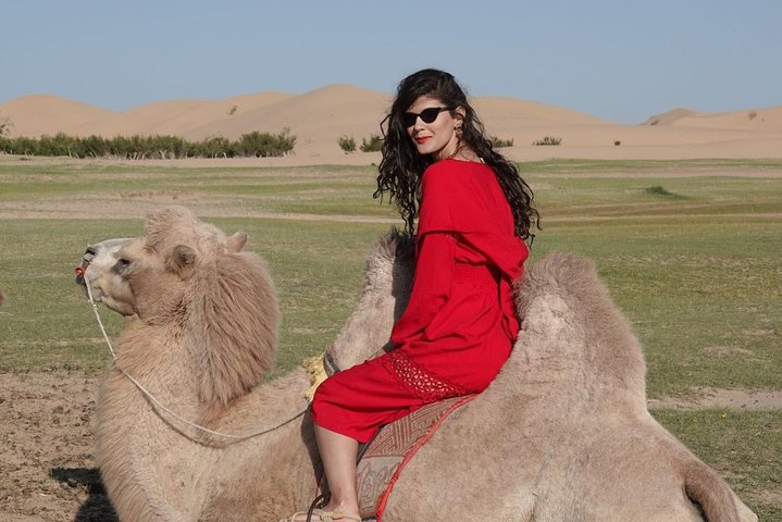 4 Days-The Best of Mongolia Collection tour