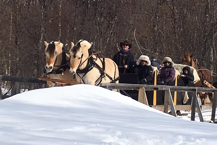 Sleigh Ride w/snacks- Experience Arctic Farm Life