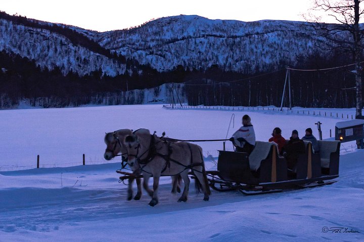 Sleigh Ride w/snacks- Experience Arctic Farm Life