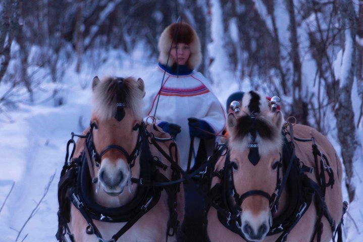 Sleigh Ride w/snacks- Experience Arctic Farm Life