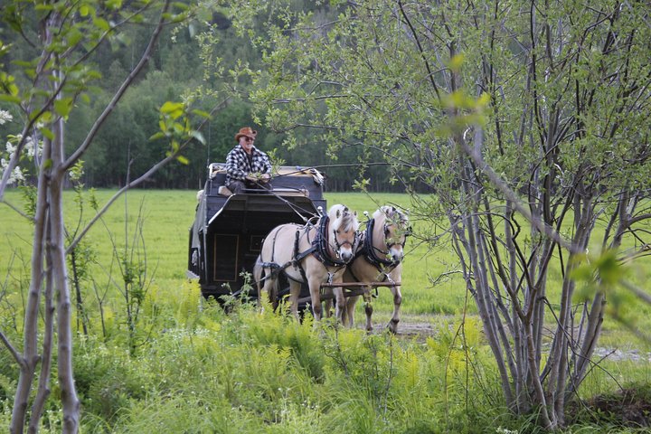 Sleigh Ride w/snacks- Experience Arctic Farm Life