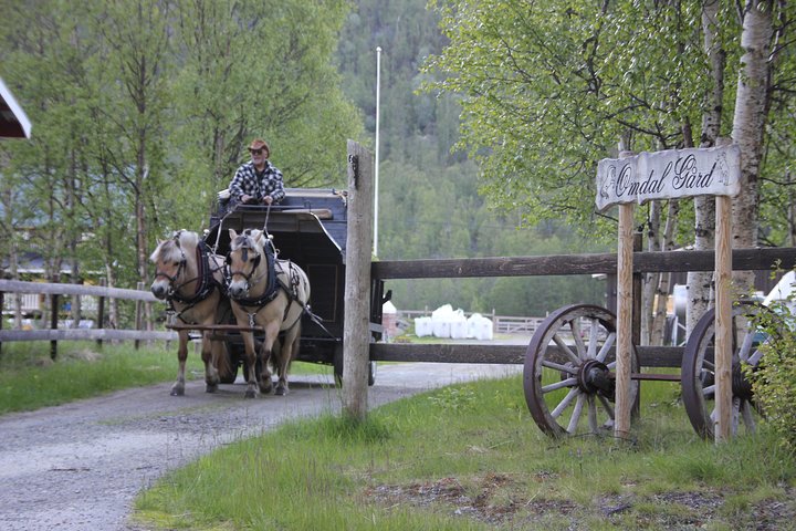 Sleigh Ride w/snacks- Experience Arctic Farm Life