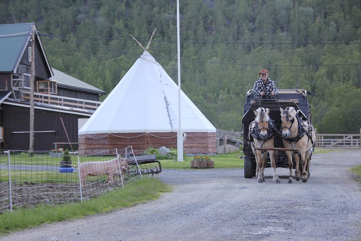 Sleigh Ride w/snacks- Experience Arctic Farm Life