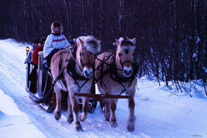 Sleigh Ride w/snacks- Experience Arctic Farm Life
