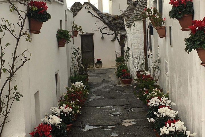 PUGLIA Tour Private Customizable Excl. with your Apulian friend
