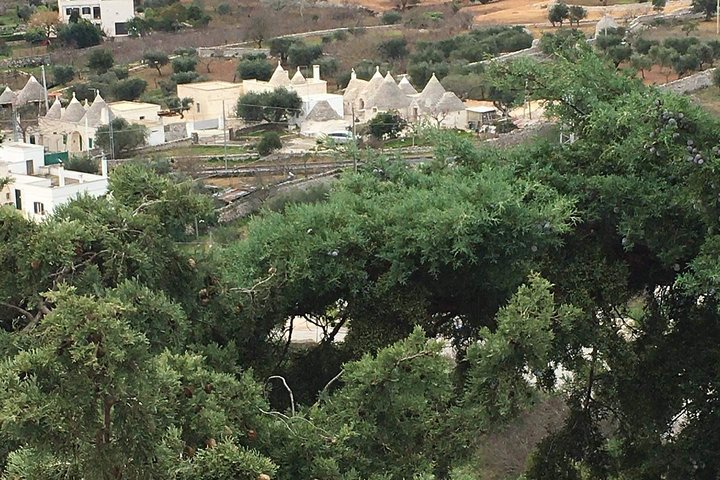 PUGLIA Tour Private Customizable Excl. with your Apulian friend