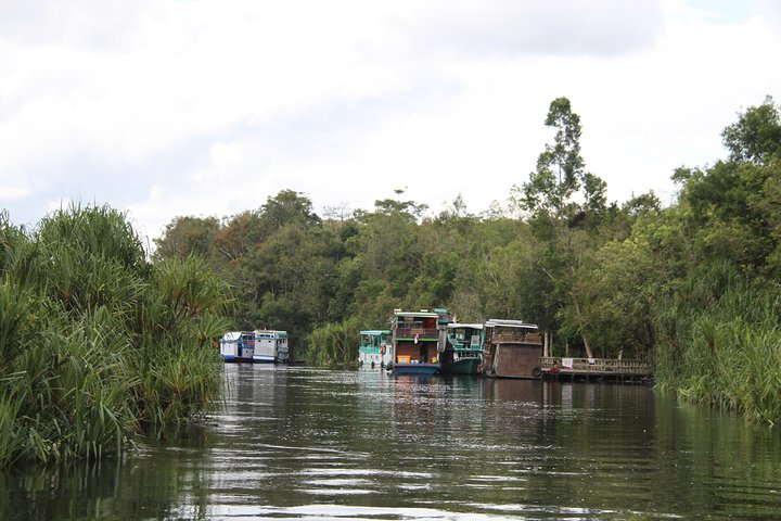 Orangutan Safari Kelotok Houseboat 3 Days 2 Nights Private
