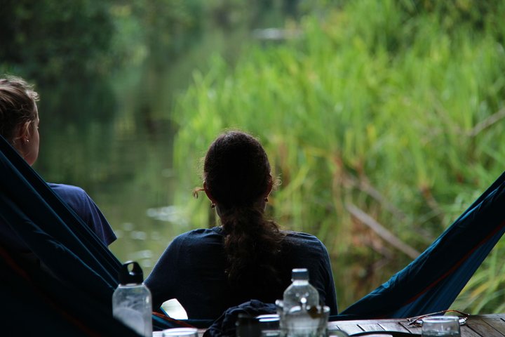 Orangutan Safari Kelotok Houseboat 3 Days 2 Nights Private