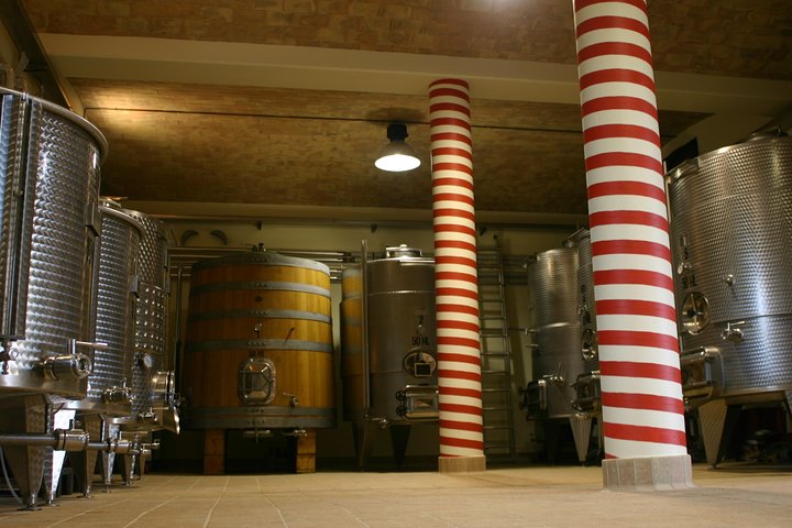 Winery Tour & Wine Tasting with Cheese & Charcuterie